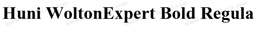 Huni WoltonExpert Bold Regular字体转换